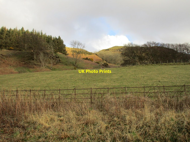 Photo 6"x4" Hillside above Old Largs Road Largs\/NS2059 c2016