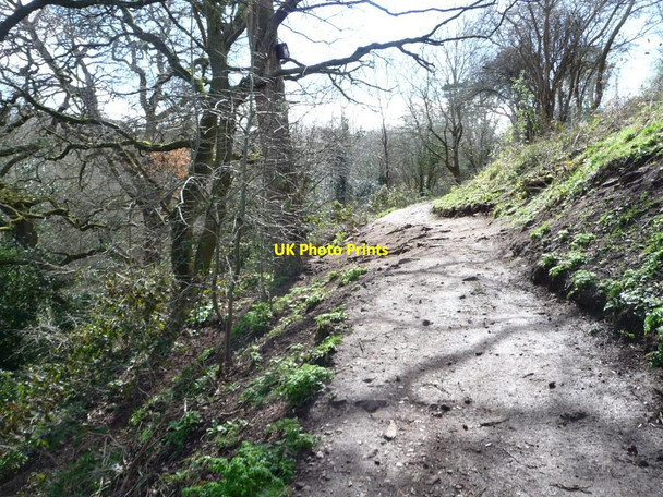 Photo 6"x4" Path in Willsbridge Valley local nature reserve Kingswood\/ST6473 c2016