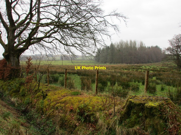 Photo 6"x4" View towards Birney Wood Warwicksland c2016