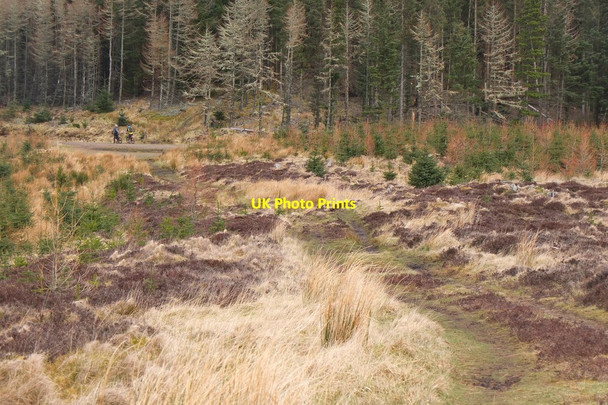 Photo 6"x4" Path on Pirn Craig Innerleithen c2016