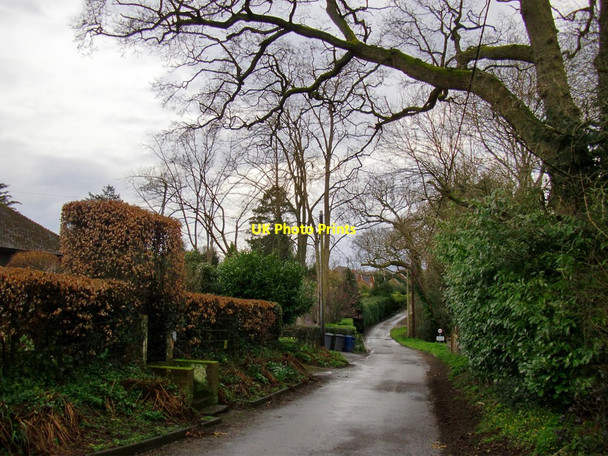 Photo 6"x4" Wykehurst Lane, Ewhurst Ewhurst c2016