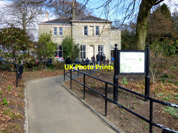 Photo 6"x4" Botanic Gardens tearoon Dowanhill c2016
