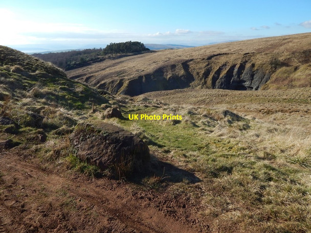 Photo 6"x4" Path leading to the Overtoun Burn Bellsmyre c2016