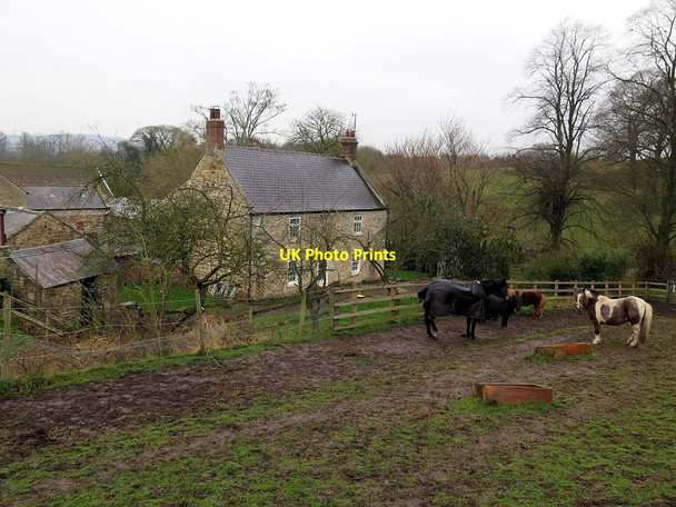 Photo 6"x4" Farmhouse, Daniel Farm Crawcrook c2016