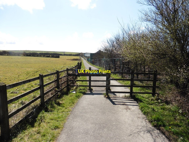 Photo 6"x4" Cycle way on the former Ilfracombe to Barnstaple railway Ossaborough c2016