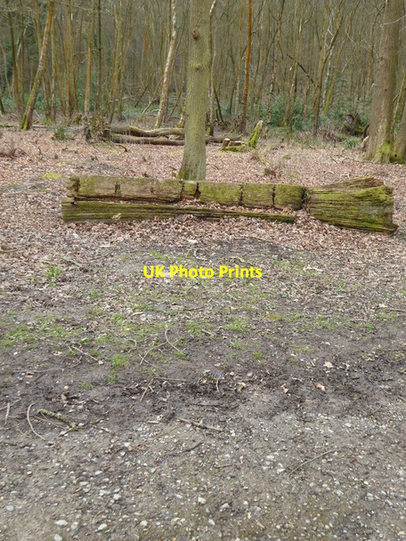 Photo 6"x4" Rustic seat by track in Tilgate Park Crawley\/TQ2736 c2016