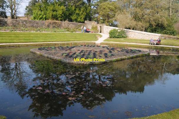 Photo 6"x4" Pond at Cotehele Calstock c2016
