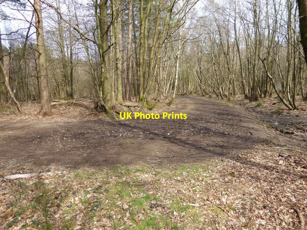 Photo 6"x4" Bend in track in Tilgate Park close to the M23 Tilgate Forest Row c2016