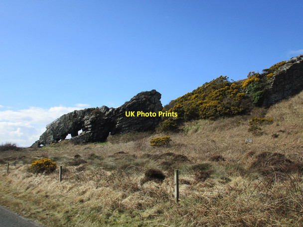 Photo 6"x4" The Lion Millport c2016