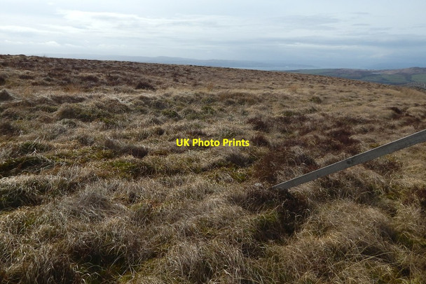 Photo 6"x4" Old boundary Bellsmyre c2016