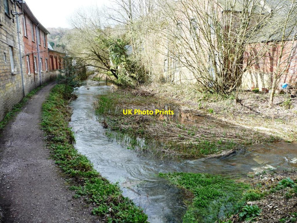 Photo 6"x4" The Thames & Severn Canal, west of the A419, Chalford Chalford\/SO8902 c2016