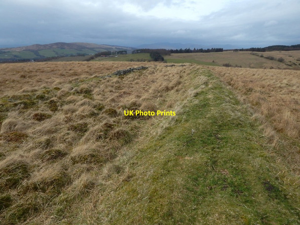 Photo 6"x4" Old boundary Alexandria c2016