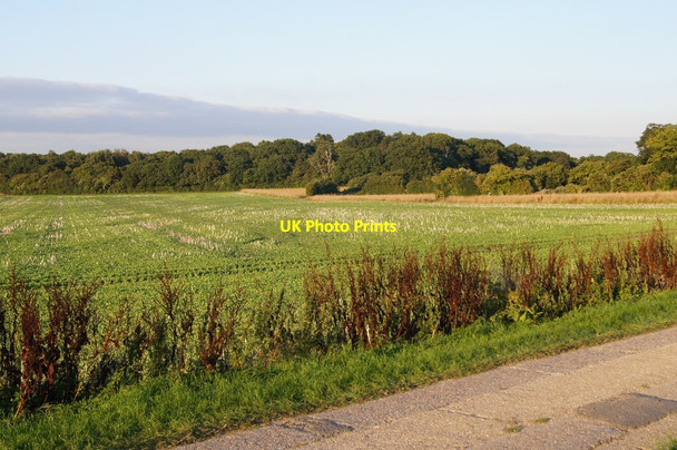 Photo 6"x4" Lower Field (29.5 acres) Pardown c2015