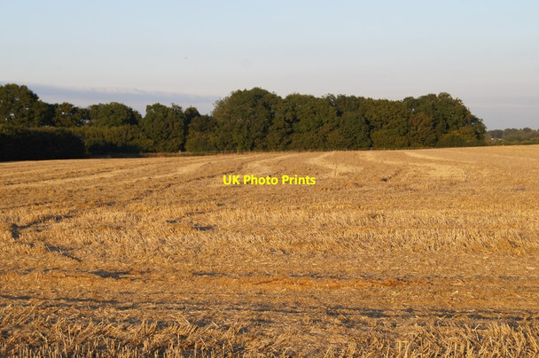 Photo 6"x4" Danny Field (26 acres) Pardown c2015