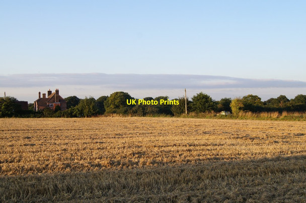 Photo 6"x4" Eastern corner of Saltash Field (12 acres) Pardown c2015
