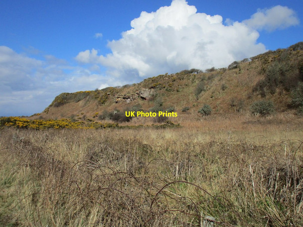 Photo 6"x4" Doughend Brae Millport c2016