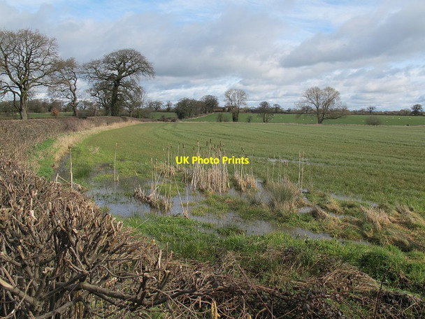 Photo 6"x4" Wet field near Brereton Green Brereton Green c2016