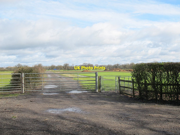 Photo 6"x4" Footpath off Back Lane Brereton Green c2016