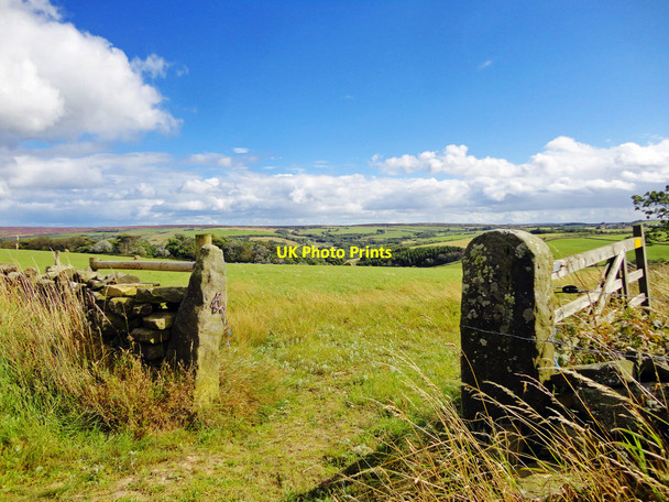 Photo 6"x4" Field Gateway Fylingthorpe c2015