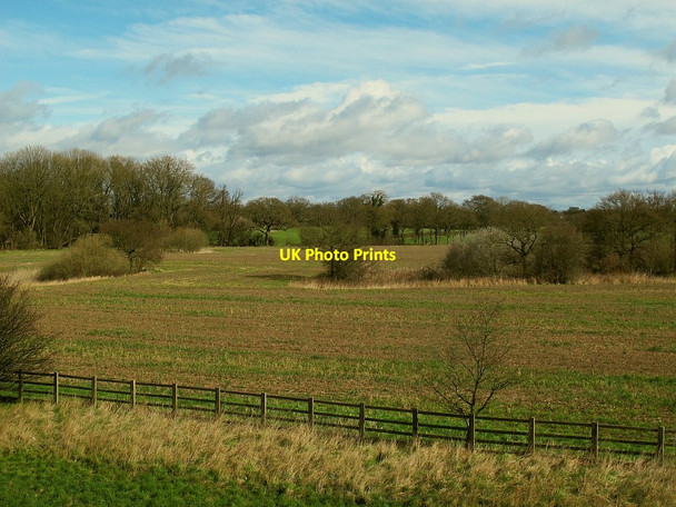 Photo 6"x4" Field east of the M6 north of Brereton Lane  Bradwall Green c2016