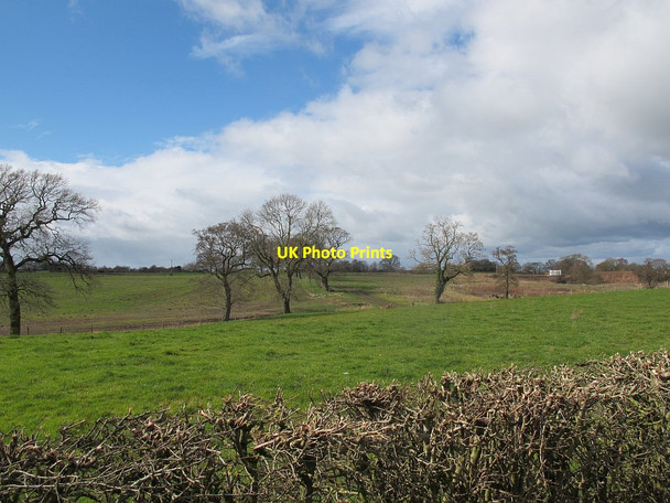 Photo 6"x4" Field west of Wood Lane Sandbach c2016