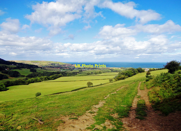 Photo 6"x4" Fyling Park View Fylingthorpe c2015