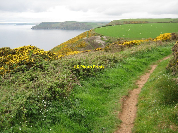 Photo 6"x4" Coast path above Penslake Cove Lansallos c2011