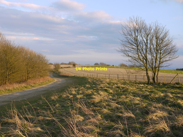Photo 6"x4" The South Downs Way heading south-east from Chanctonbury Ring Washington\/TQ1212 c2016