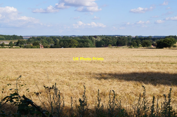 Photo 6"x4" View across Teddys Field (29.5 acres) Wootton St Lawrence c2015