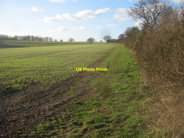 Photo 6"x4" Farmland west of Northington Road Abbotstone c2016