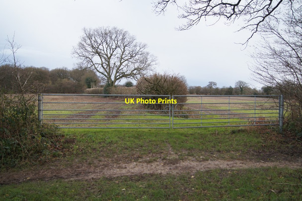 Photo 6"x4" Farmland east of Pardown Pardown c2016