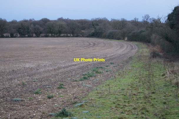 Photo 6"x4" East Field (37.5 acres) Pardown c2016