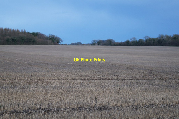 Photo 6"x4" Wide view of East Field (37.5 acres) Pardown c2016