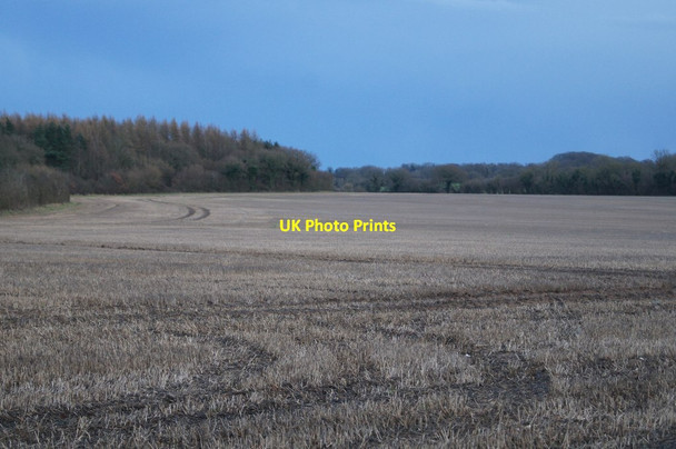 Photo 6"x4" Wide view of East Field (37.5 acres) Pardown c2016 P1