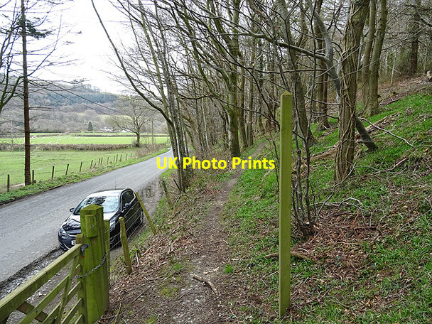 Photo 6"x4" Starting the walk through Pant Da Woods Nantyronen Station c2016