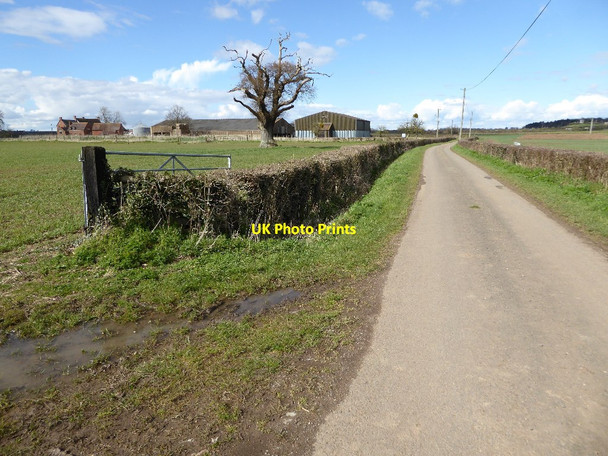 Photo 6"x4" Country road near Manor Farm Hill Croome c2016