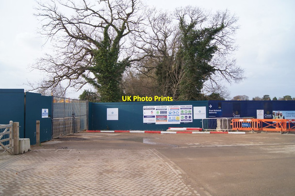 Photo 6"x4" Ivy clad trees Trumpington c2015