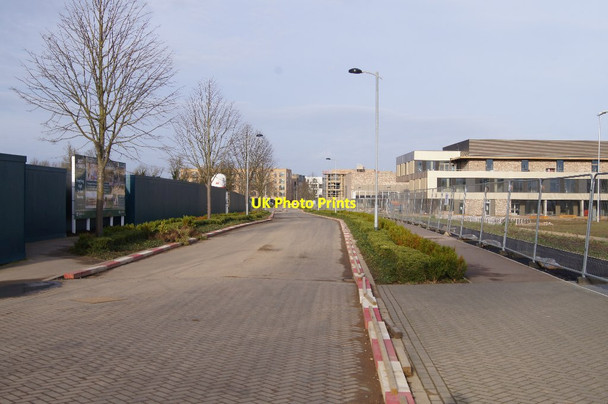 Photo 6"x4" View along Lime Avenue Trumpington c2015