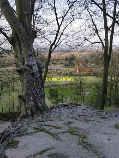 Photo 6"x4" A view from Chalkpit Wood Hole Street c2016