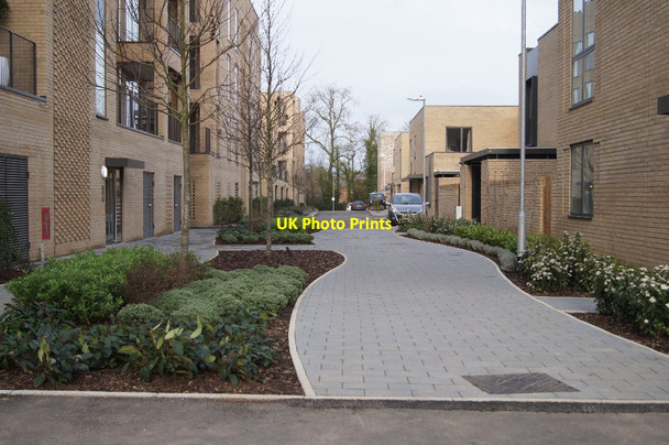 Photo 6"x4" Path behind the Allende Building Trumpington c2015
