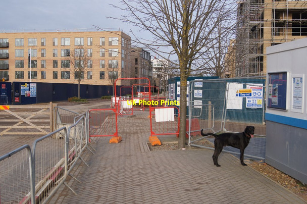 Photo 6"x4" View along Lime Avenue Trumpington c2015