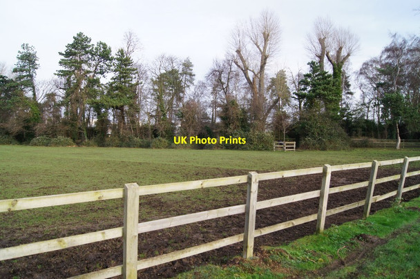 Photo 6"x4" Trees by Hobson's Brook Cambridge\/TL4658 c2015