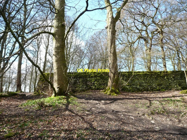 Photo 6"x4" Walled enclosure, west of Shipley Glen Bingley\/SE1139 c2016