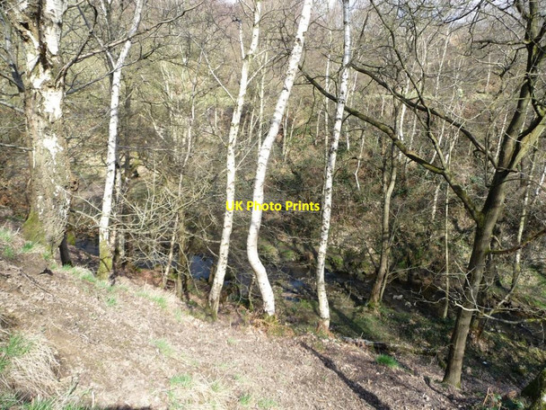 Photo 6"x4" Loadpit Beck, Shipley Glen Bingley\/SE1139 c2016