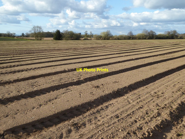 Photo 6"x4" Arable field near Severn Stoke Birch Green\/SO8545 c2016