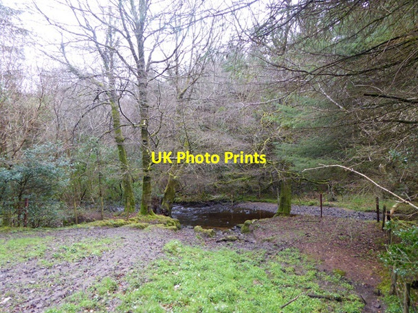 Photo 6"x4" Clodlagh River Clonaslee c2016