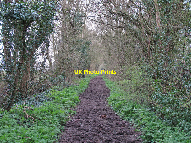 Photo 6"x4" Bridleway running north-west from High Street, Hempstead Hempstead\/TL6338 c2016