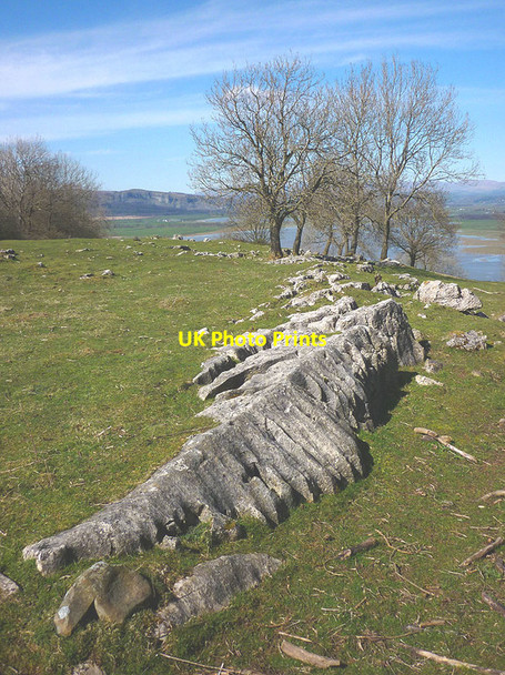 Photo 6"x4" Limestone outcrop, Haverbrack Bank Sandside\/SD4880 c2016