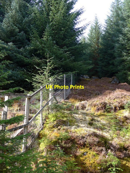 Photo 6"x4" Boundary fence on the Loch Laidon forest Meall Liath na Doire c2016