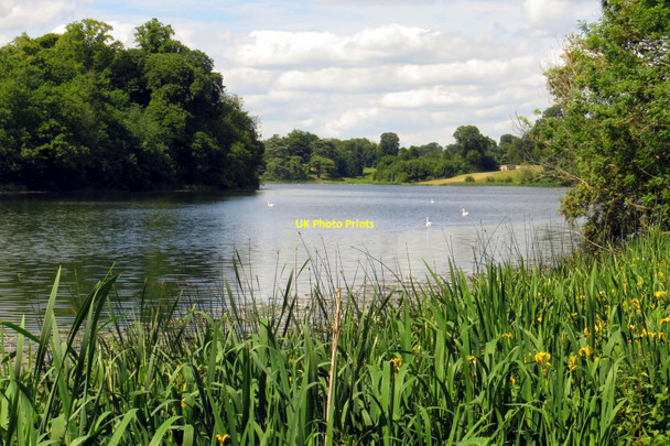 Photo 6"x4" The Lake in Blenheim Park Woodstock\/SP4416 c2015